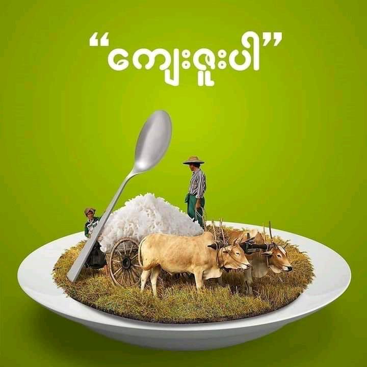 မော်မော်..ခိုလမ်သူလေ