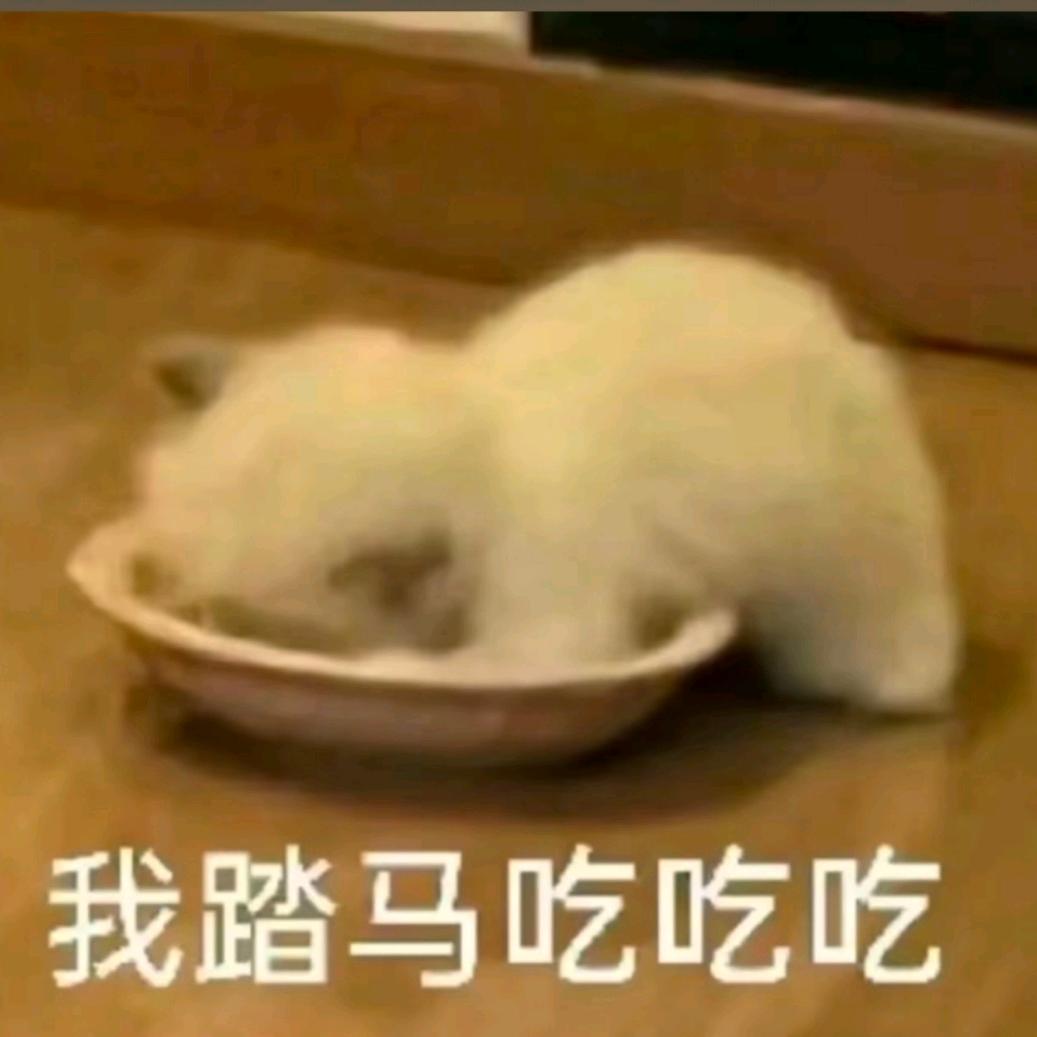 蜉蝣plus