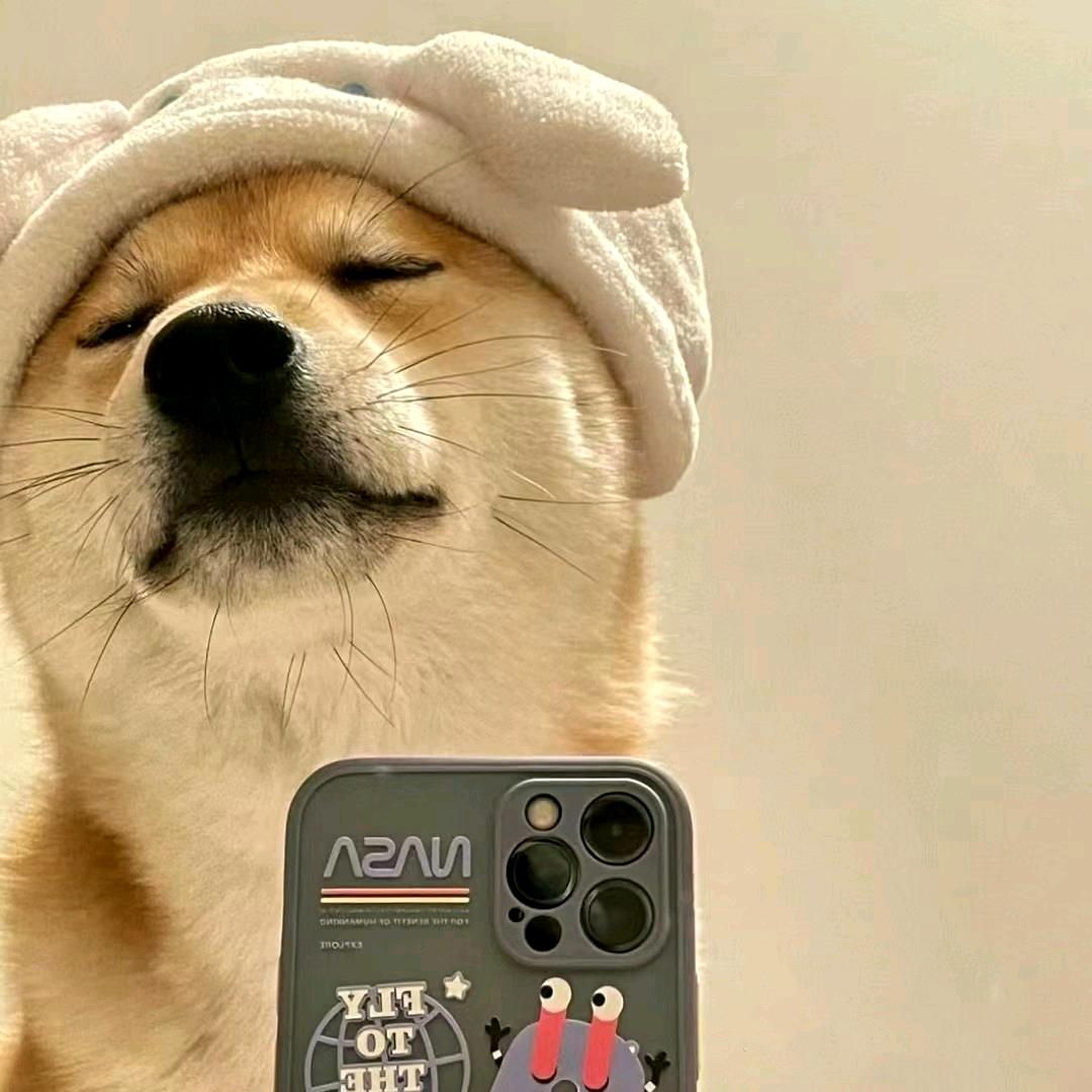 暗里着迷y