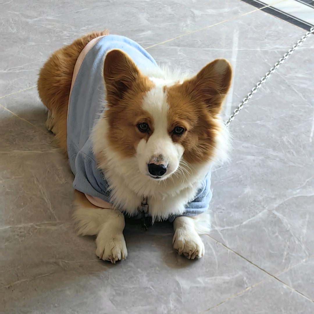 小何生槟榔（东莞总代理）