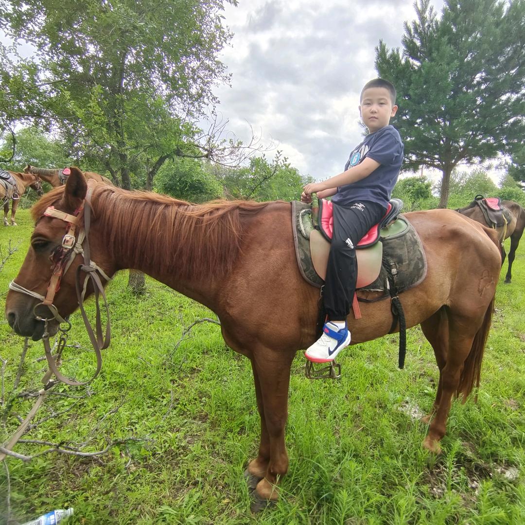 安达市鑫优鲜优选生鲜超市（个体工商户）