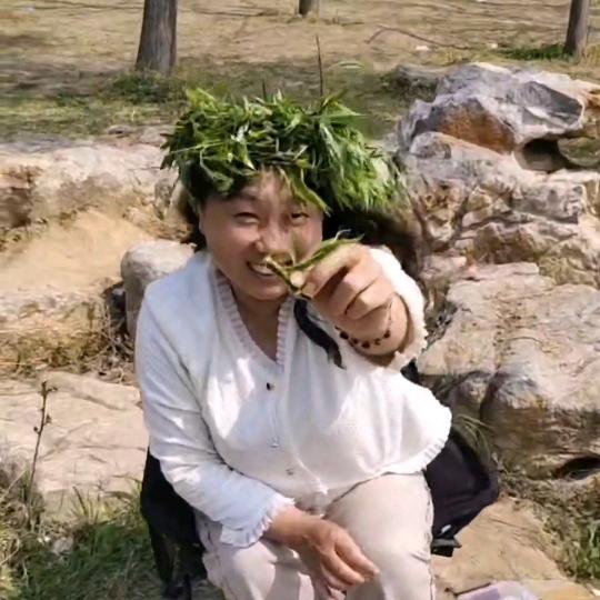 乐姐随游