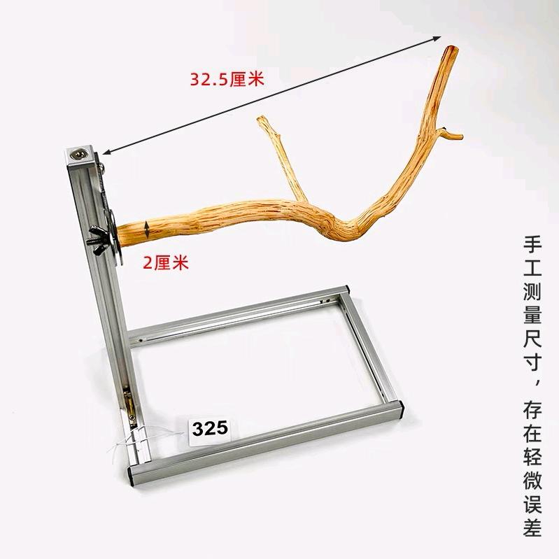 展望未来