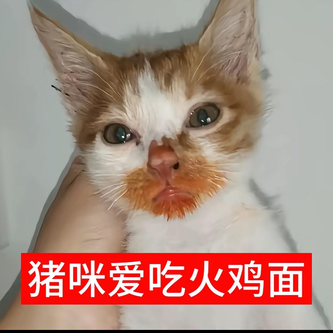 好可怕啊……( >﹏<。)
