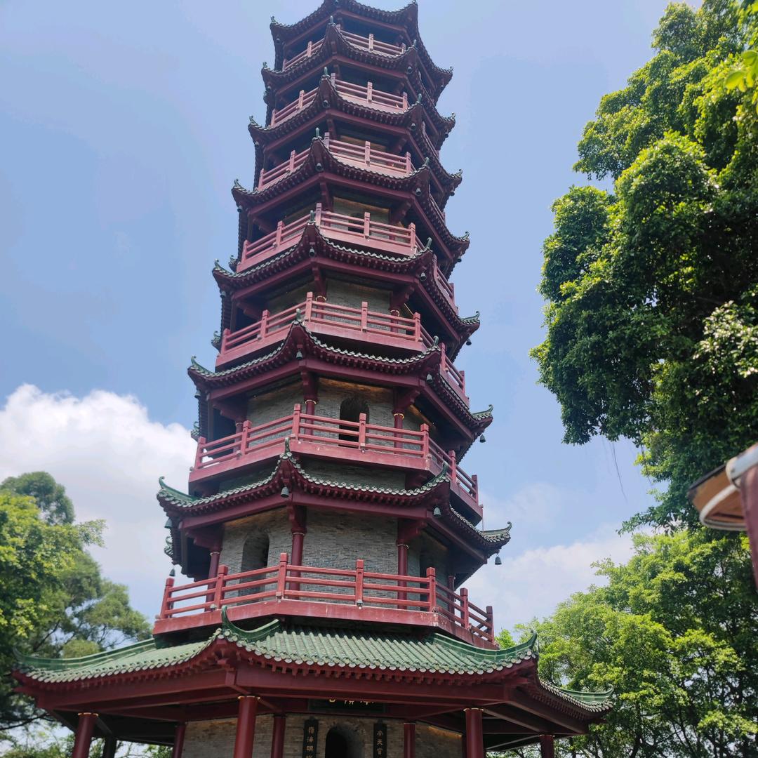 金▶️Zoom🌈🌈