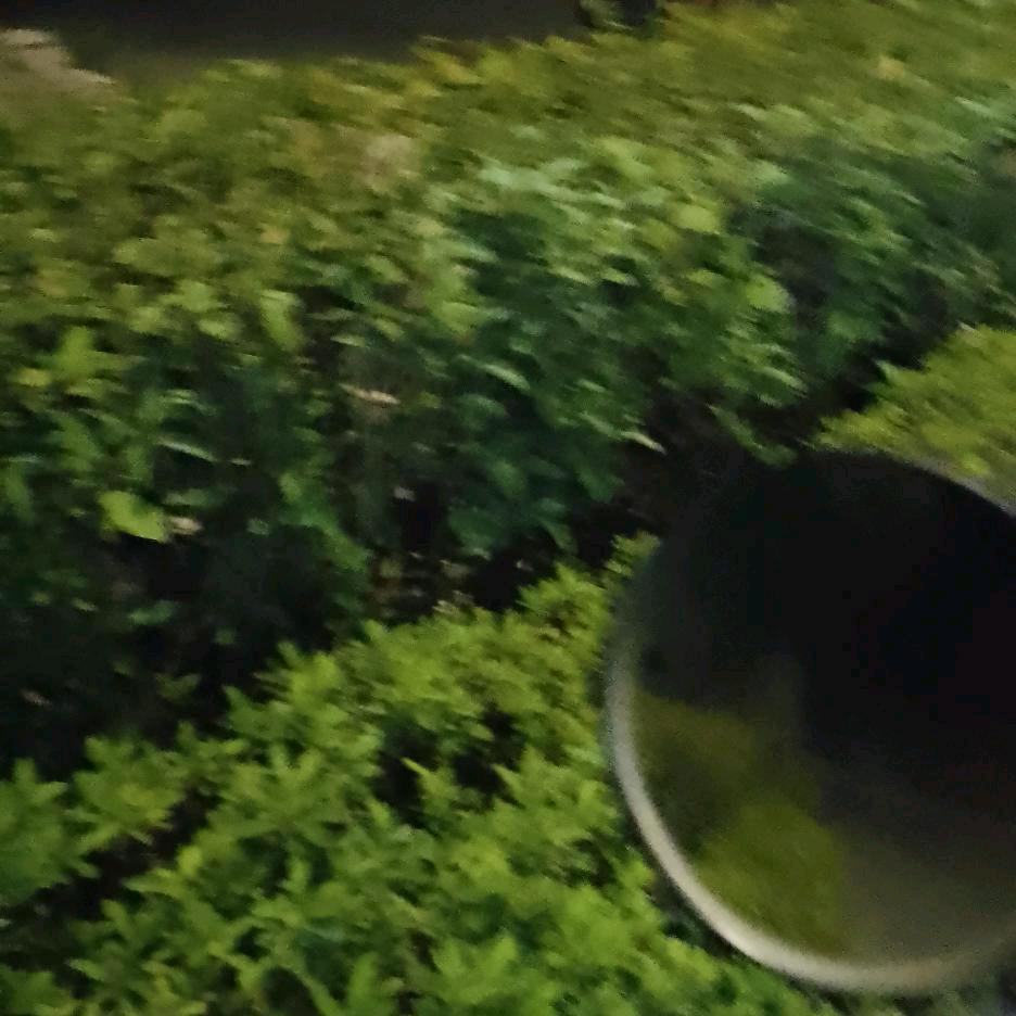 平安是福
