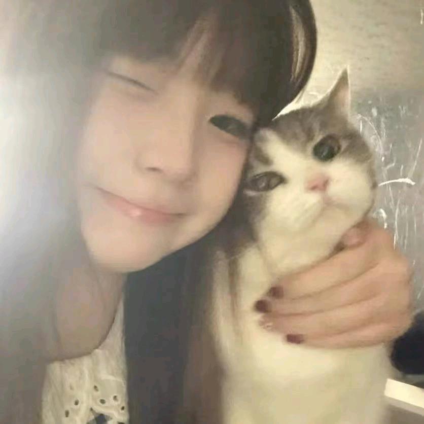 ˣ泡泡ʸ