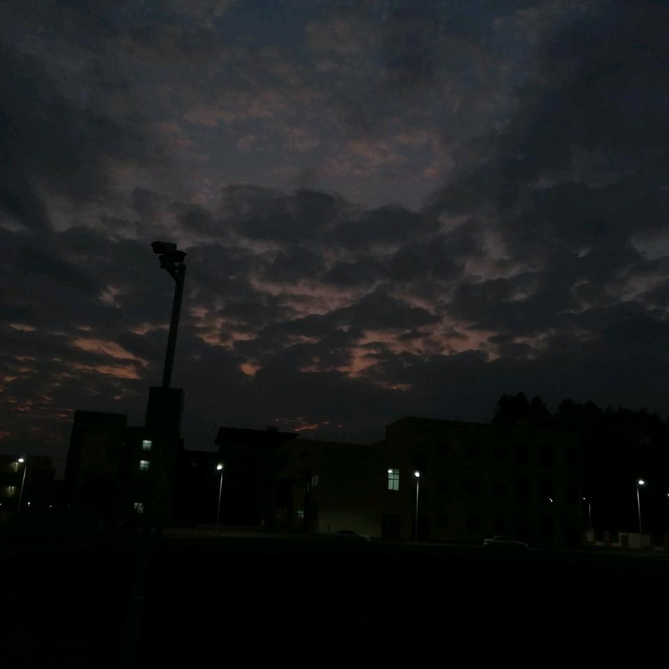 无畏契约：洋洋