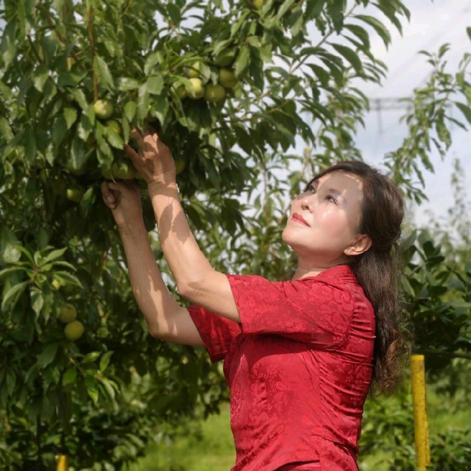 邱玲，贵妃李，开直播不定时