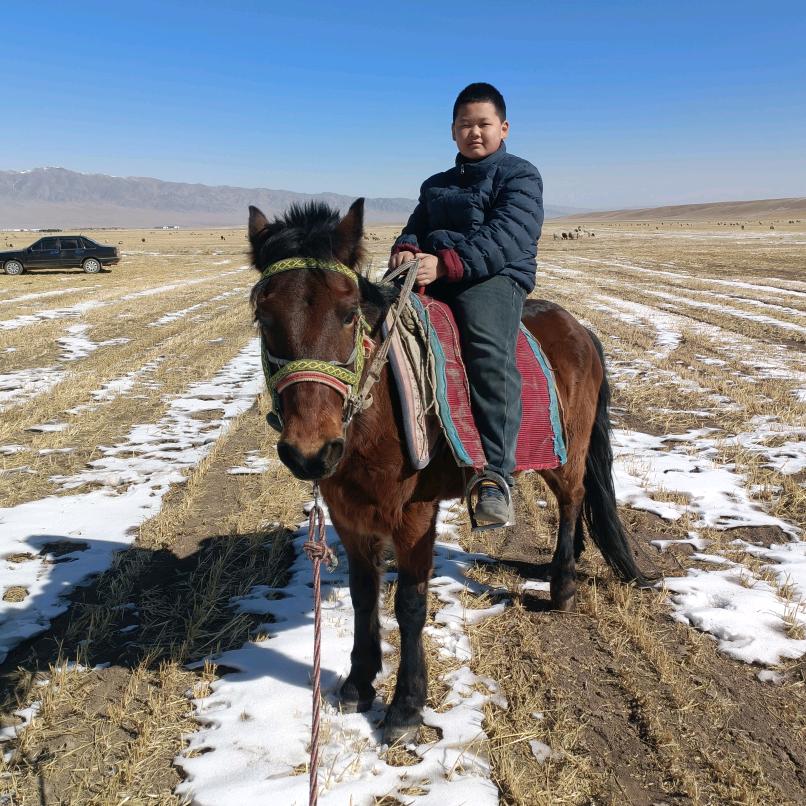 祁连山下牧马人