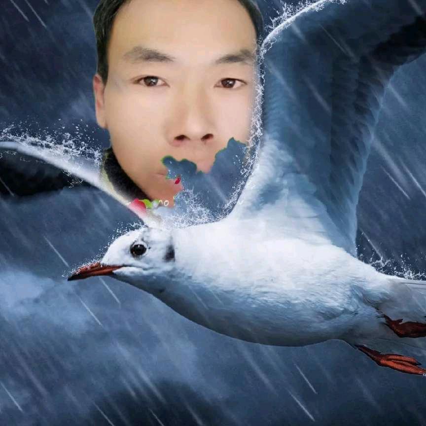 龙孝友