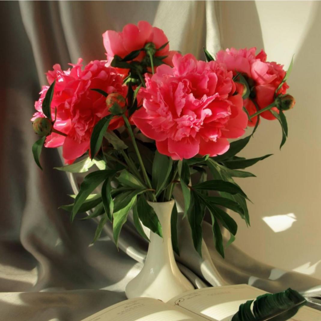 用户3718684291897891