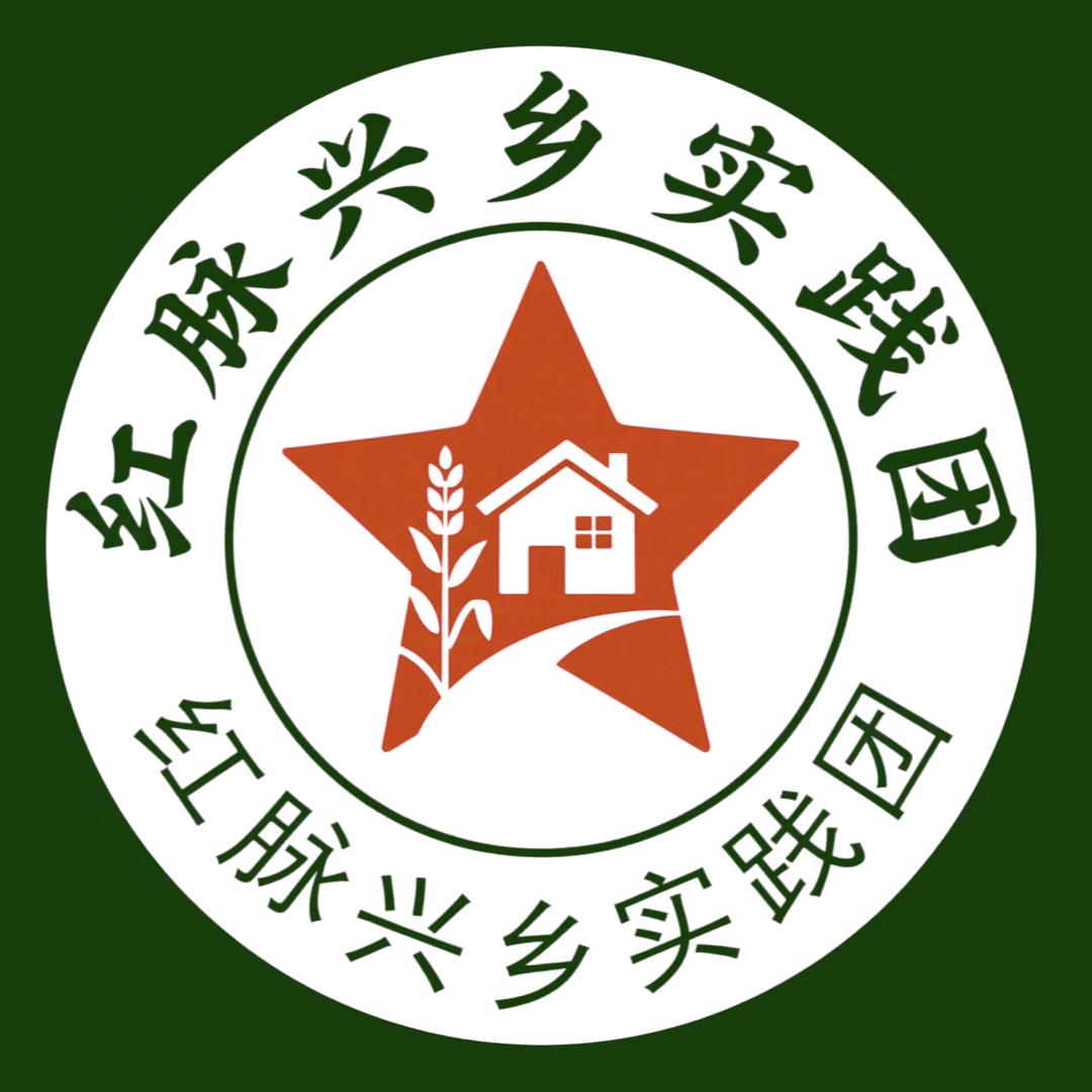 红脉兴乡实践团