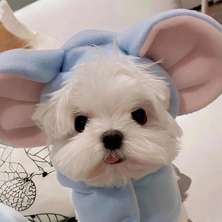 《回忆过不去的坎》