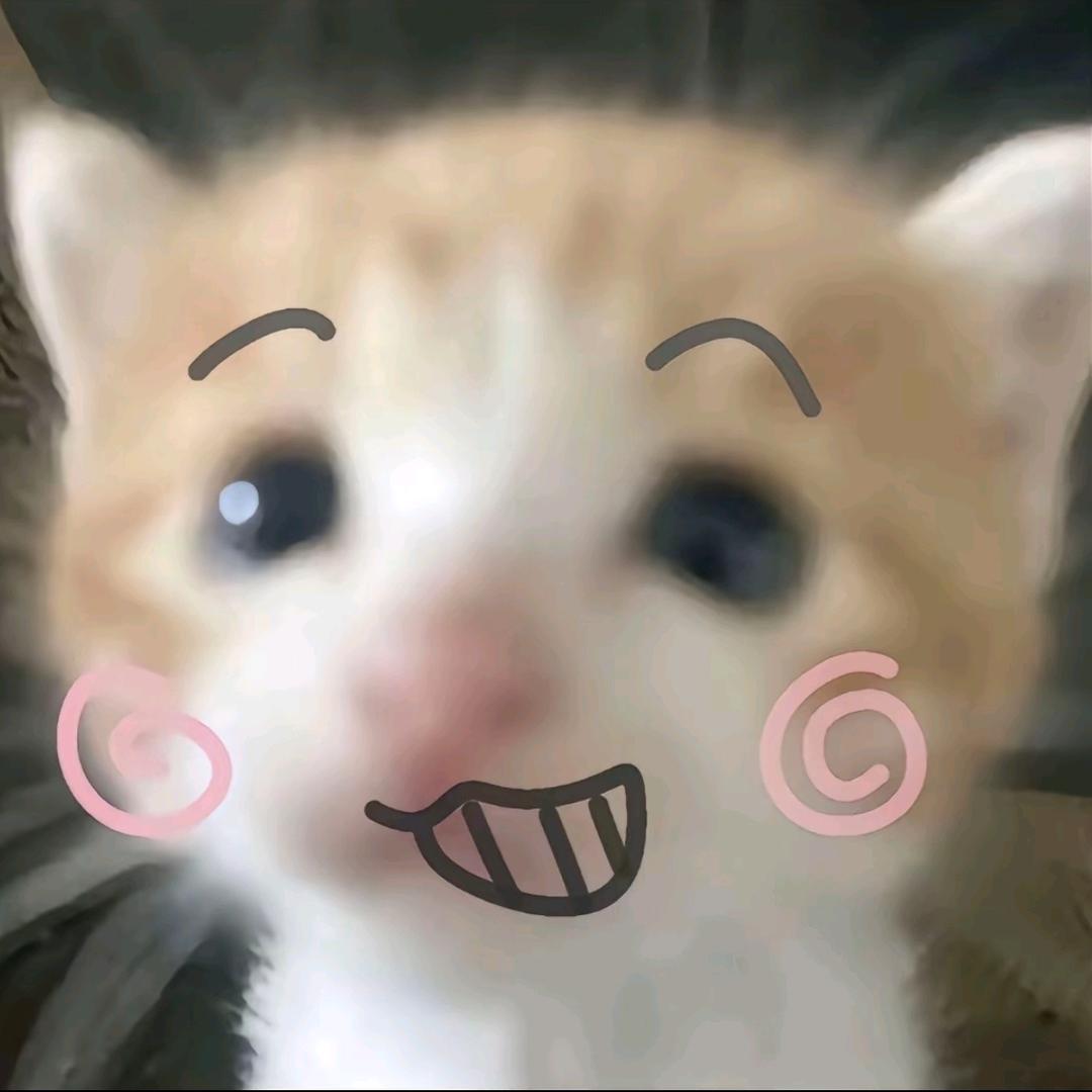 在下猫猫雨.
