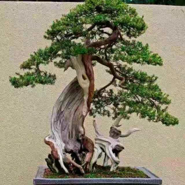 孤独漂泊