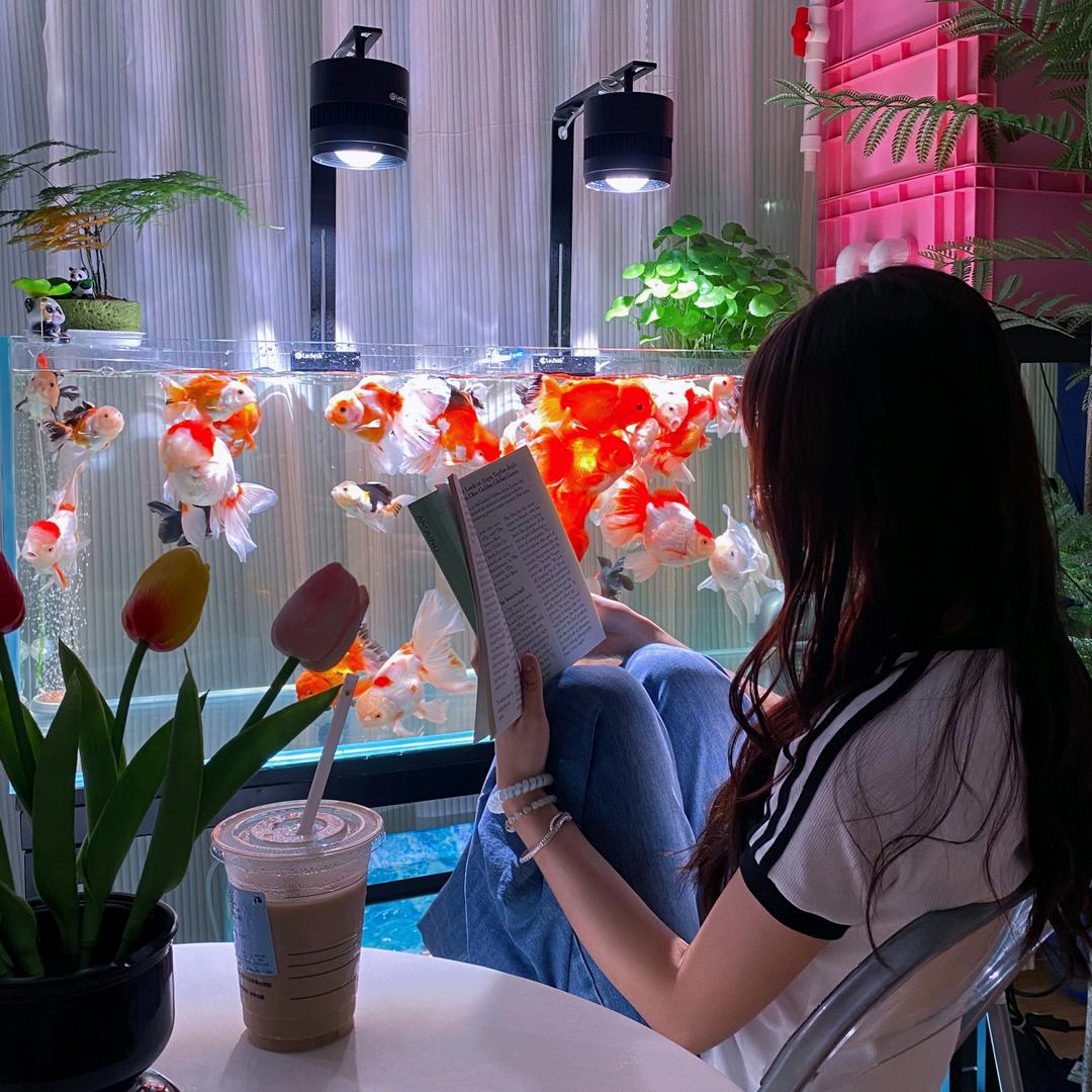 宅笨小妞（出🐟）