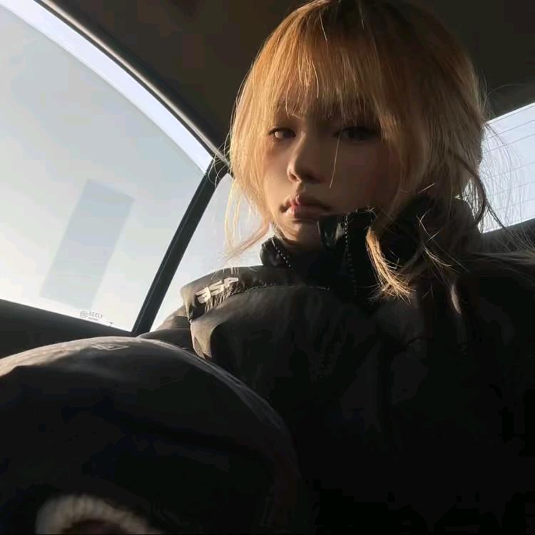 走丢的猫.
