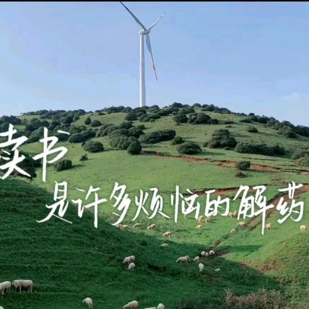 不爱跑步的咩羊羊