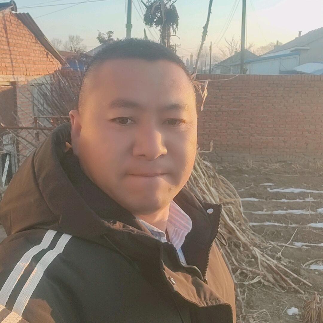 磊磊