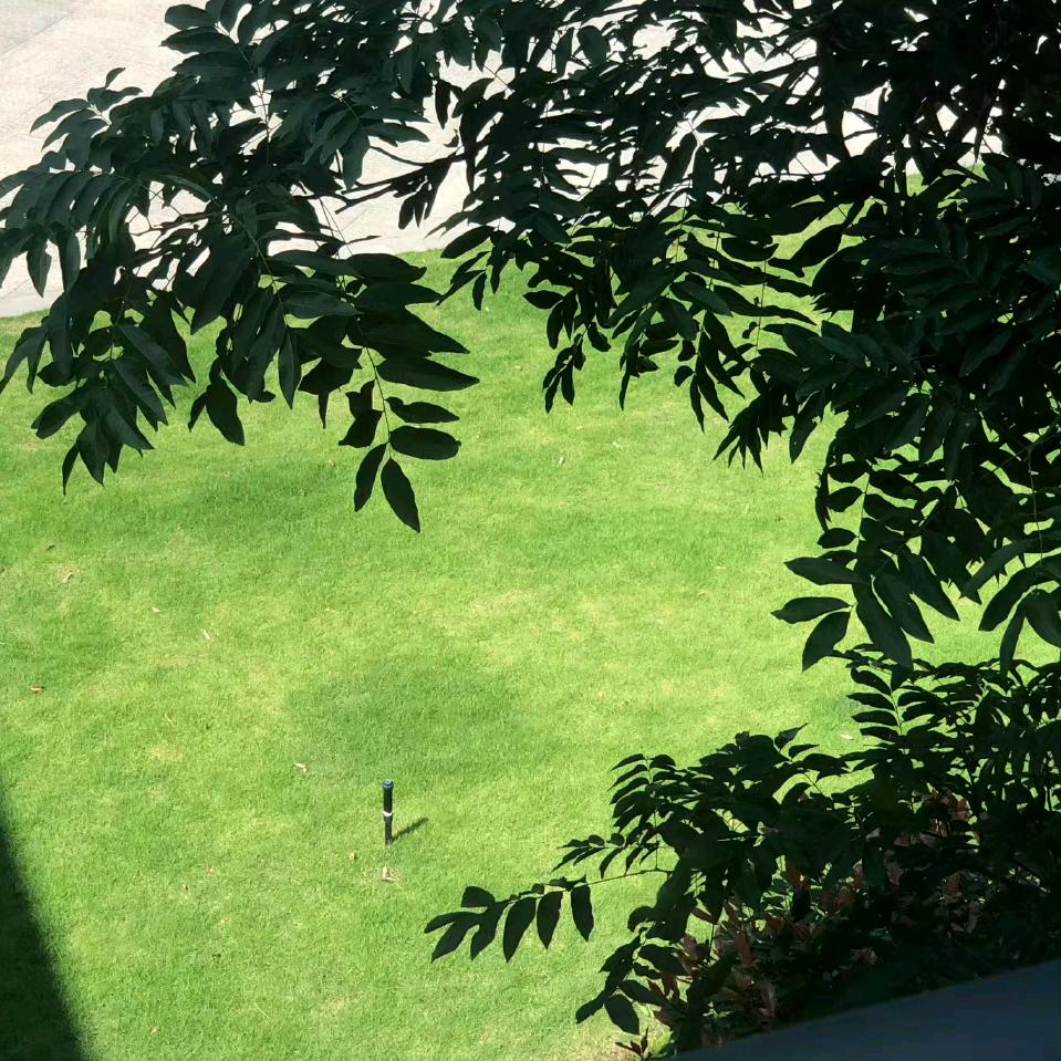 探微工作室