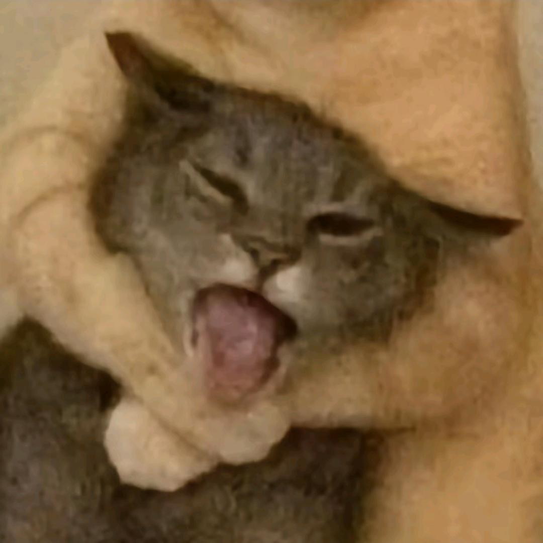 徐。