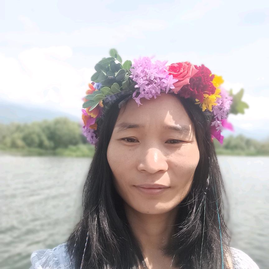赵凤