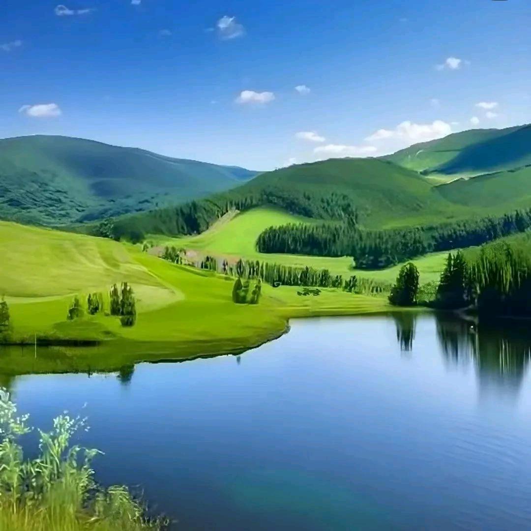 🇨🇳翡IL翠鸿图🍀