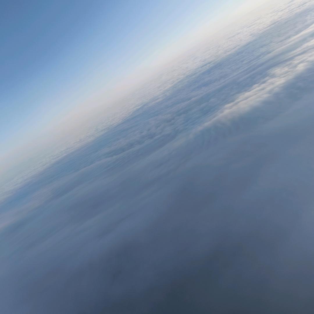 哥→划船不用浆~全凭浪💦