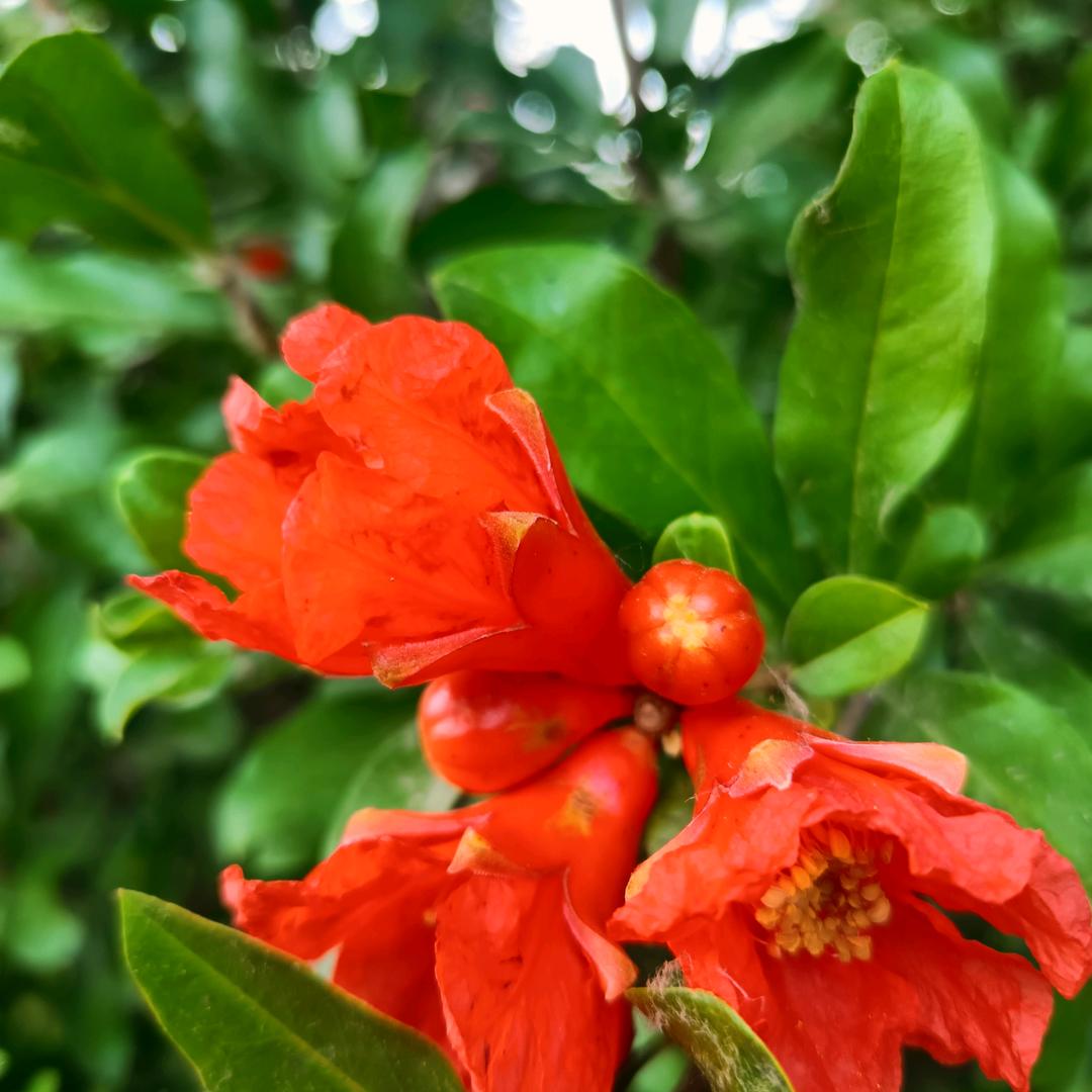 @心痛，2O23，4，19