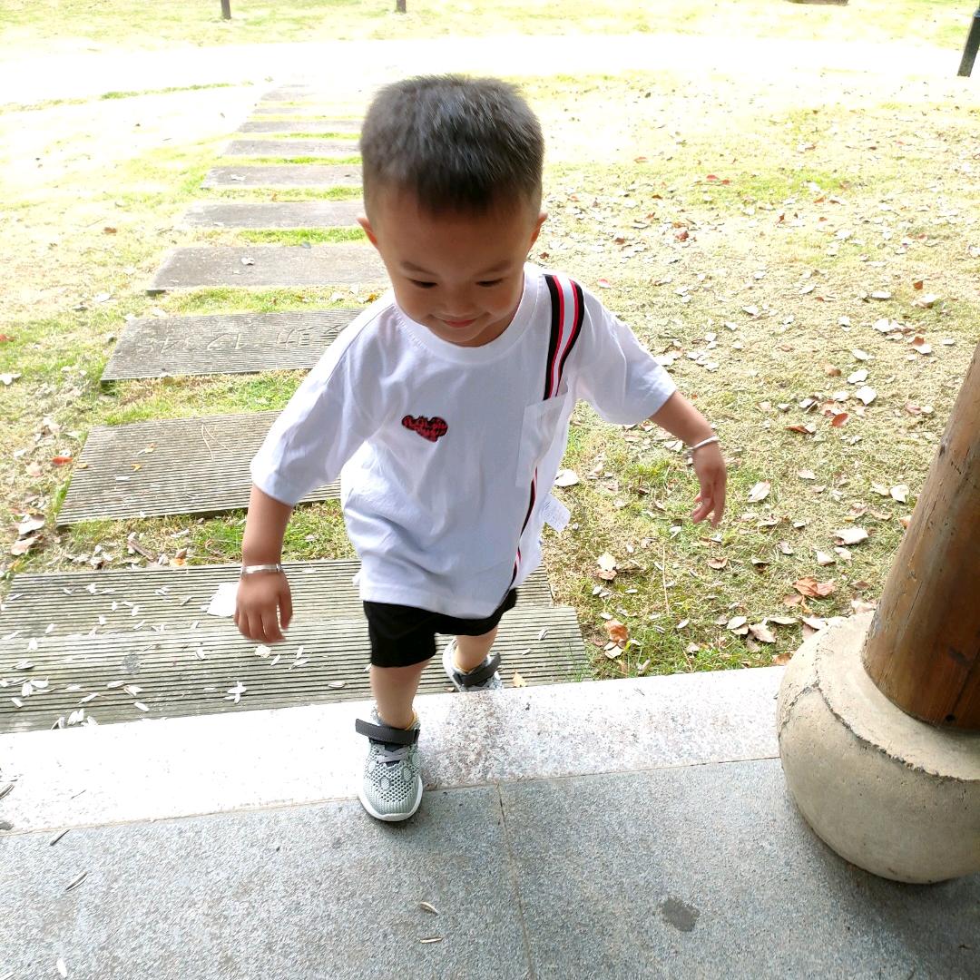 随风飘泊