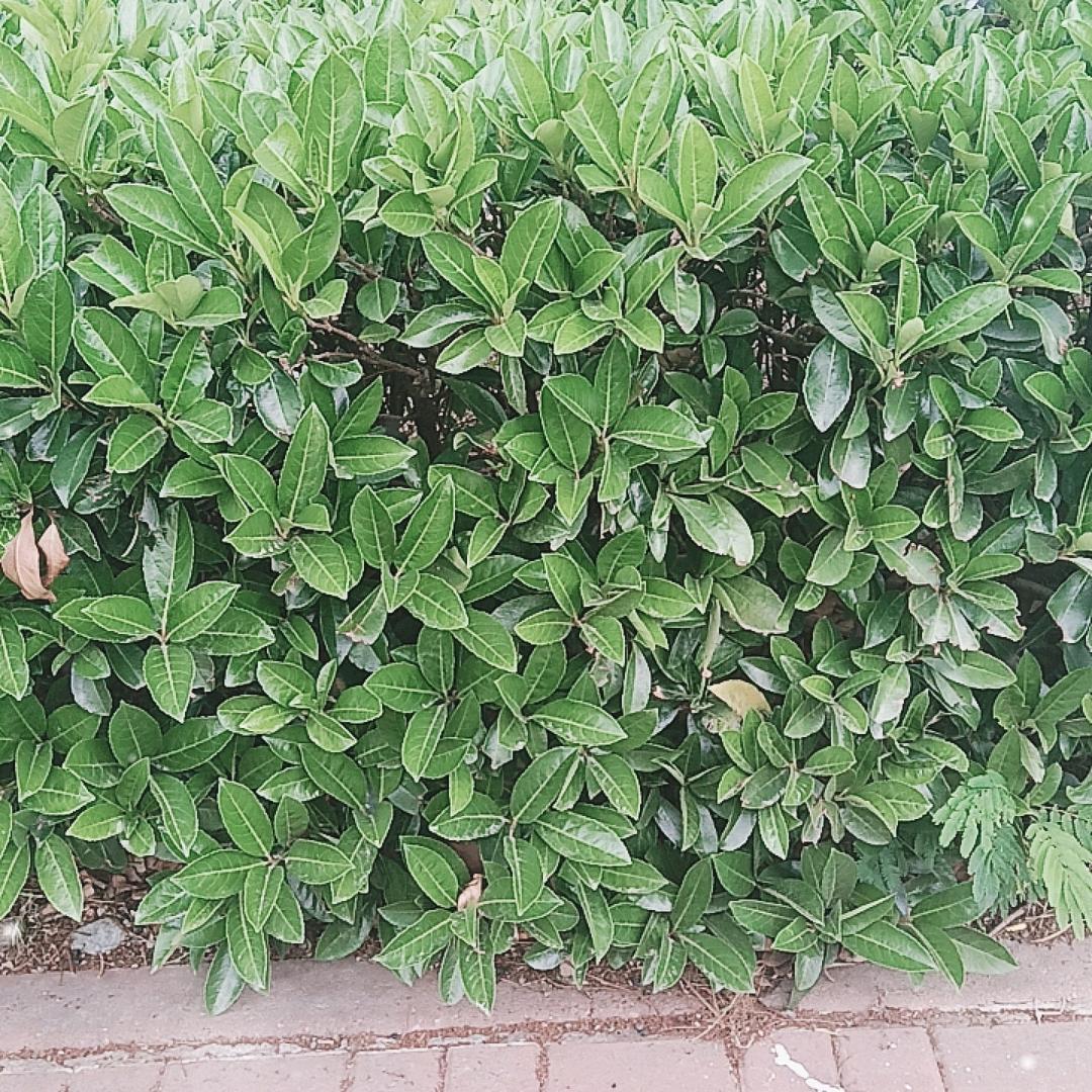 草园牛🐂头像