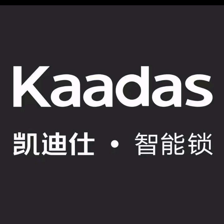 资阳凯迪仕智能锁（宝台大道店）