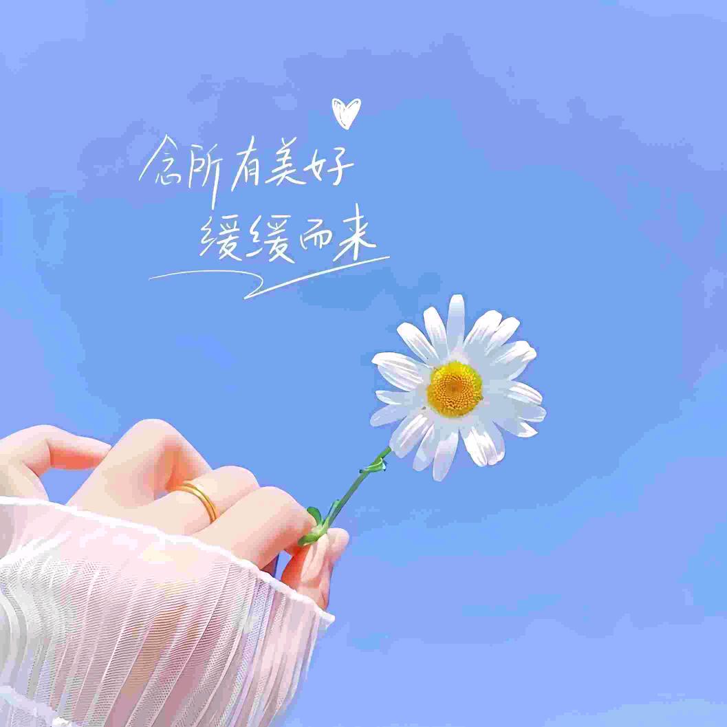 ✌🏻️忙碌的麻薯球奥利奥🥰
