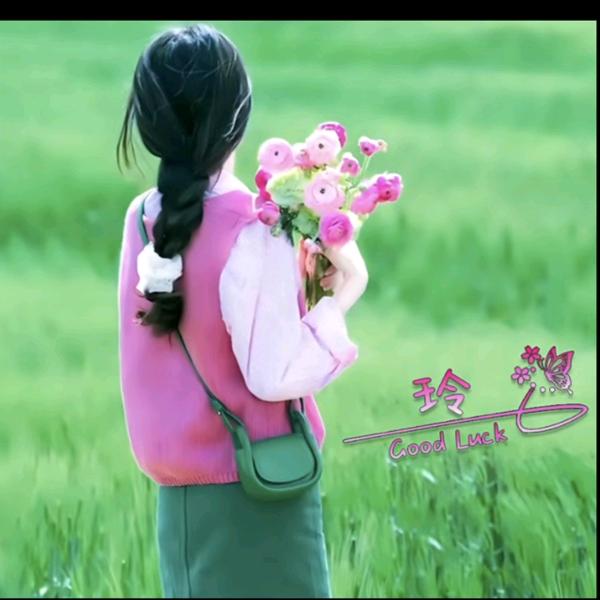 彼岸花开(^-^)
