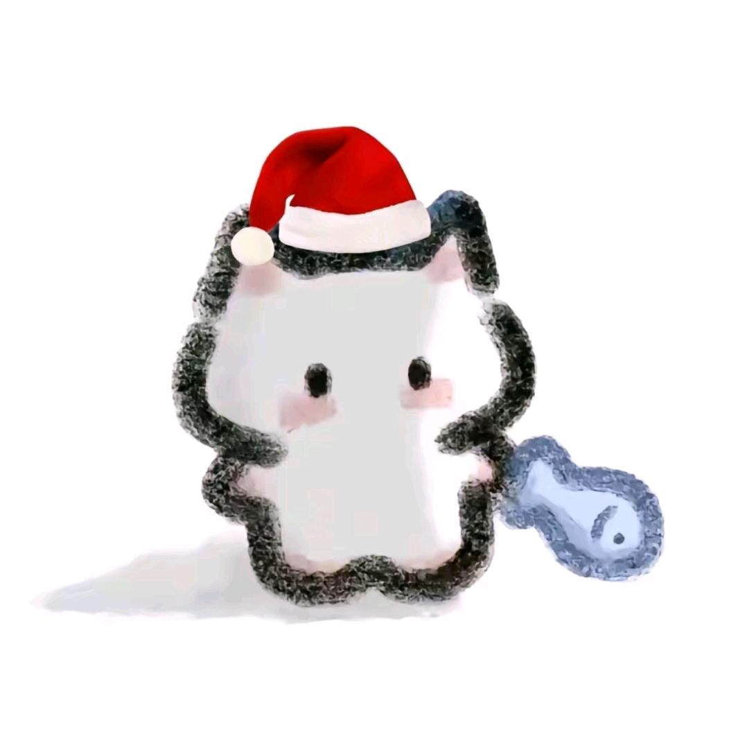 马豆爱拍车❤️2053