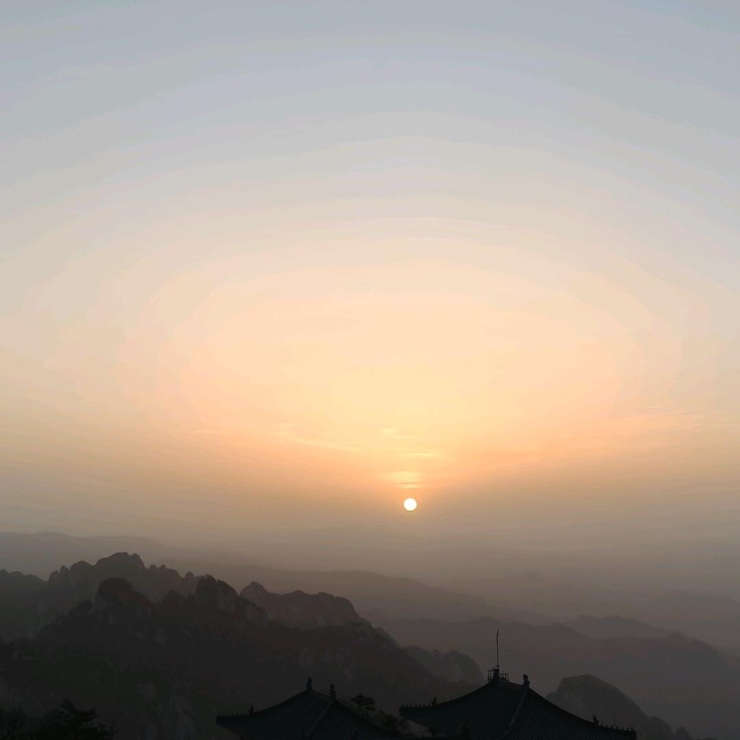 _-☘︎ 幸运草。͡° ͜ʖ ͡°