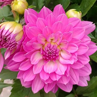 一切以开心为主