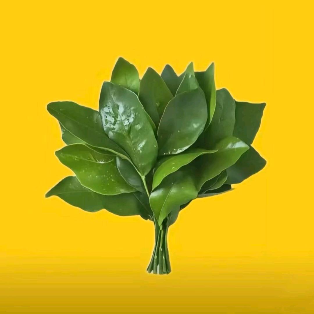 三儿
