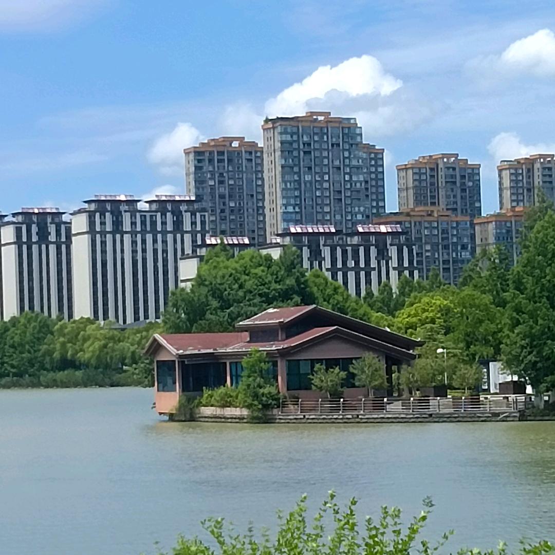 中原孤狼