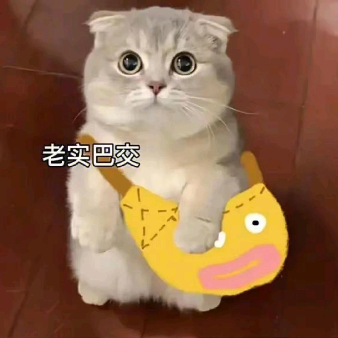 糖醋鱼
