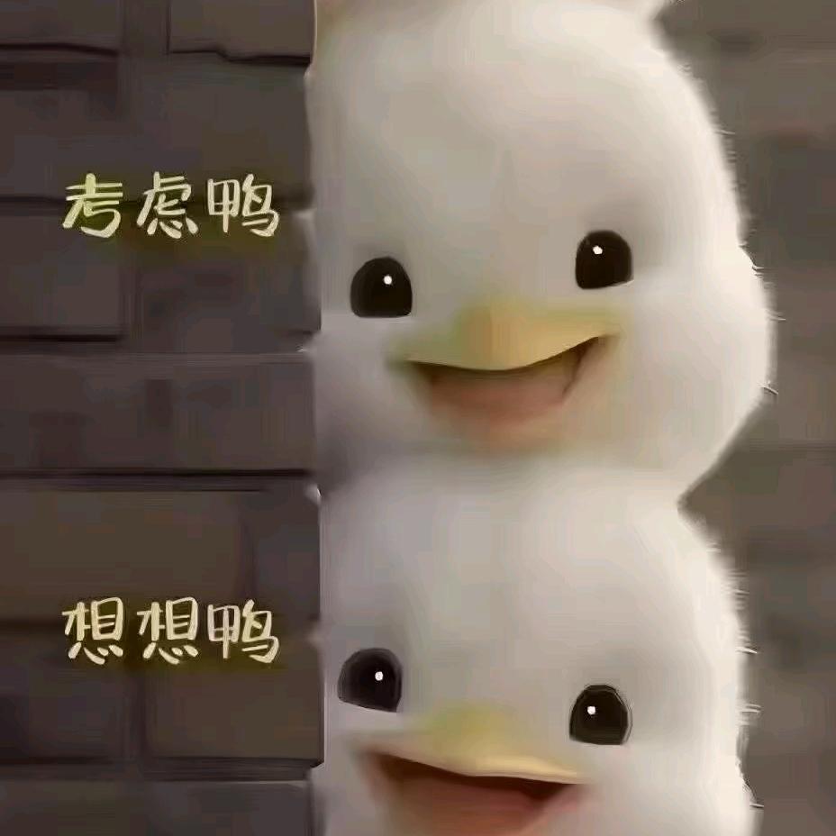 设计装修搭子小赵