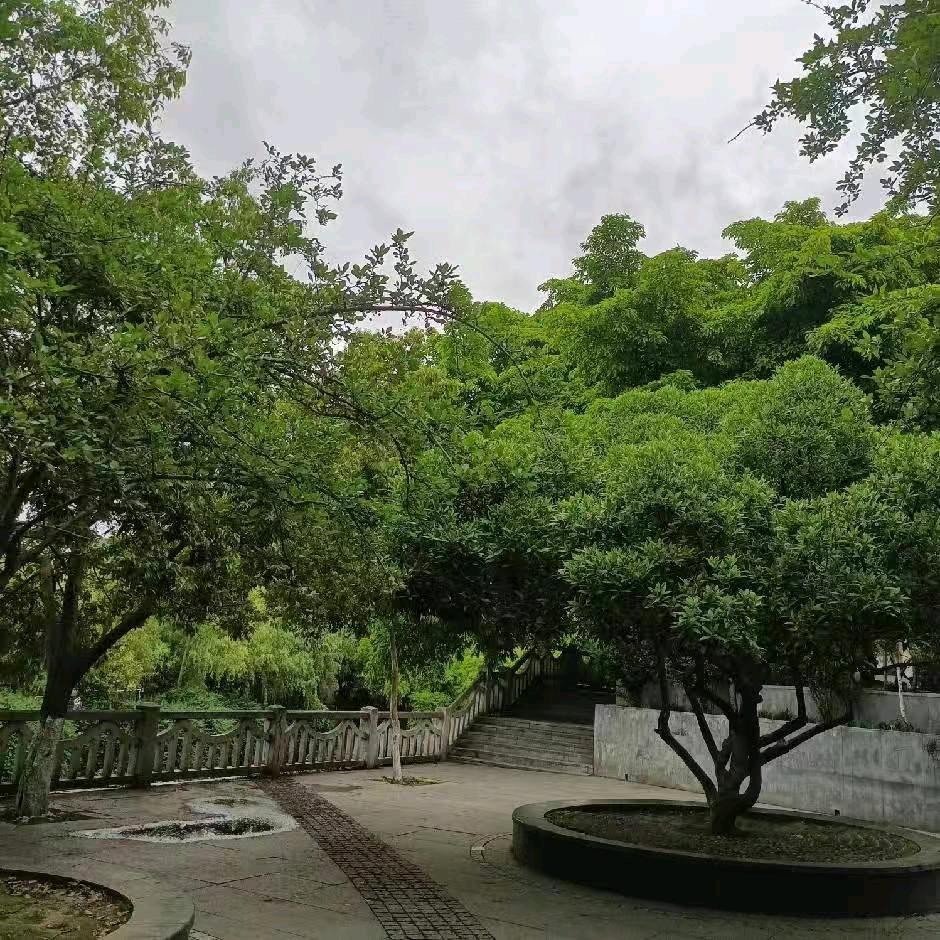 自由姐