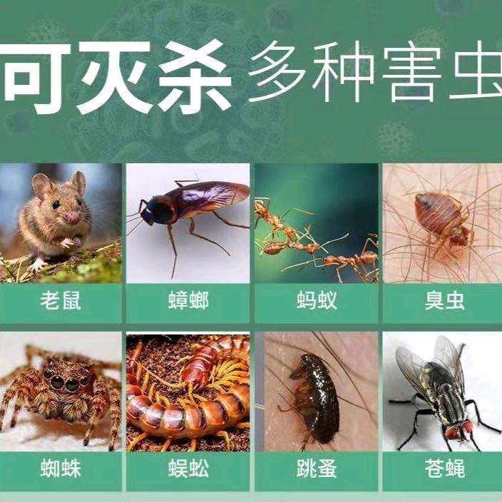 西藏佳卫环境，专业灭鼠，