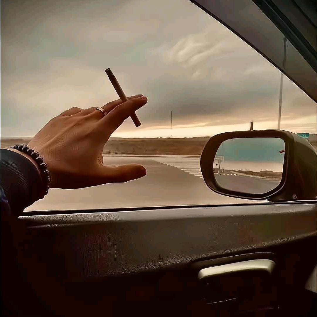 请只蚂蚁当靠山🍄
