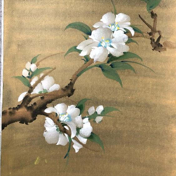 一江玉（新疆娜姐）
