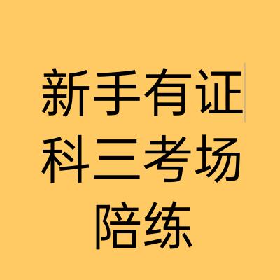沈阳汽车陪练(有证，科三)—肖教练