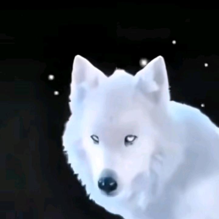 ͏͏͏͏͏ ͏͏͏͏͏㝊怘