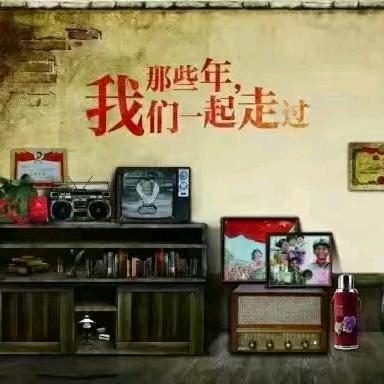 新哥爱收藏