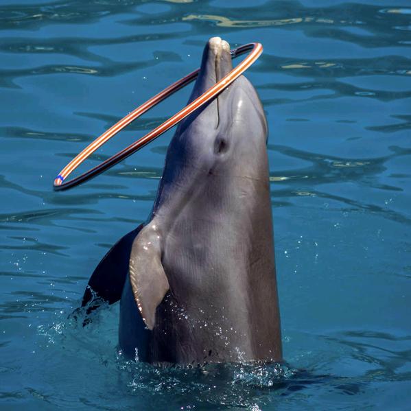 ꧁星辰有你耀眼安生꧂